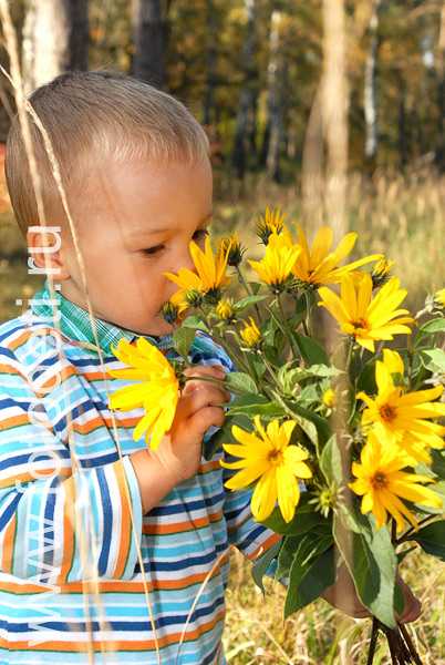 Фото детей в игре: Ребёнок нюхает большие желтые цветы.