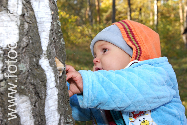 На фотографиях дети в процессе общения. Маленький ребёнок изучает кору дерева на лесной прогулке.