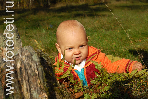 Фотографии детей в авторском фотобанке. Малыш увлеченно исследует мир лесной поляны.