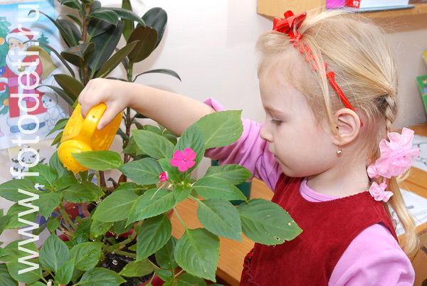 Дети на развивающих занятиях: Девочка поливает цветочек из лейки.