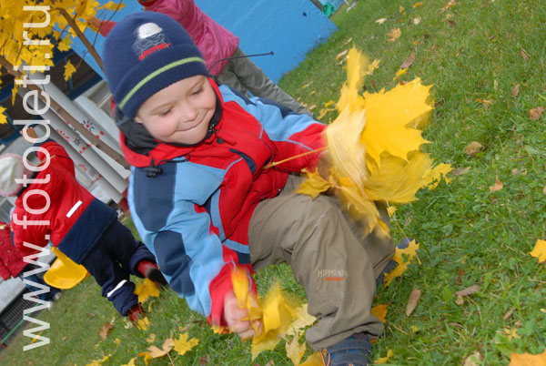 Фотографии детей. Ребенок играет с кленовыми листьями.