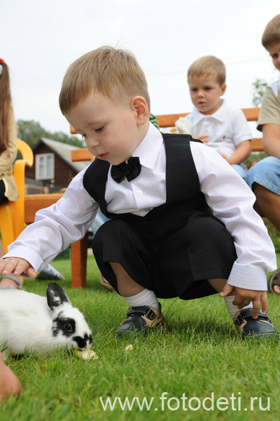 Фотка позитивного малыша, на веб-сайте профессионального фотографа и психолога Губарева И.Н.: Маленький мальчик гладит кролика