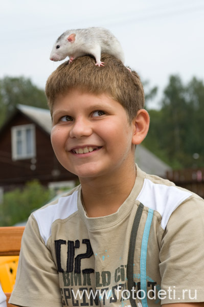 Фотка позитивного малыша, на фотосайте детского фотографа Губарева И.Н.: Дрессированная крыса на голове у мальчика