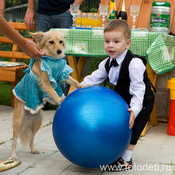 Фотка позитивного ребёнка, на веб-сайте детского фотографа и психолога Губарева И.Н.: Мальчик с дрессированной собачкой