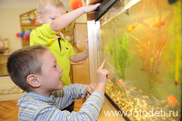 Фотка прикольного ребёнка, на веб-сайте московского фотографа Губарева Игоря: Ребёнок возле аквариума