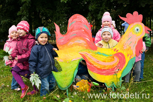 Фотография забавного дошкольника, на фотосайте профессионального фотографа Губарева Игоря: Большой красивый петух
