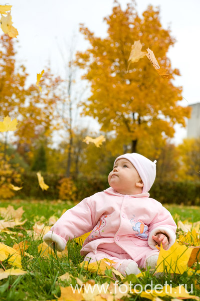 Фотка забавного дошкольника, в фотоархиве профессионального фотографа и психолога Губарева Игоря: Малыш в осеннем парке
