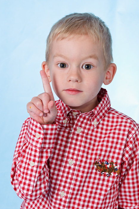 Использование жестов при создании детского портрета. Эмоциональные жесты детей.