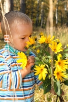 Ребёнок нюхает большие желтые цветы, фотографии детей на природе