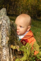 Ребёнок изучает мох, растущий на пне, фотографии детей на природе