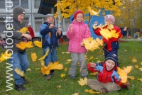 Фотография салюта из осенних листьев, фотографии детей в авторском  фотобанке